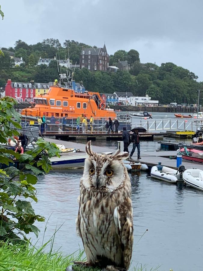 Burnbank Bnb Tobermory Εξωτερικό φωτογραφία